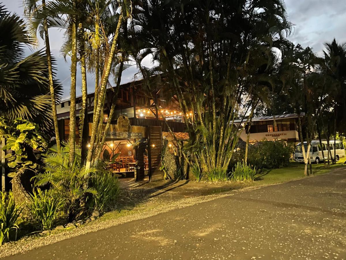 Perla Negra Beachfront Puerto Viejo de Talamanca Exterior photo